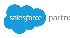 Salesforce Partner